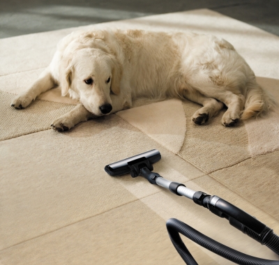 Choosing a Carpet Cleaner