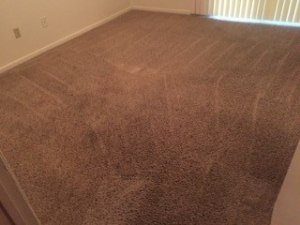 Clean Carpet